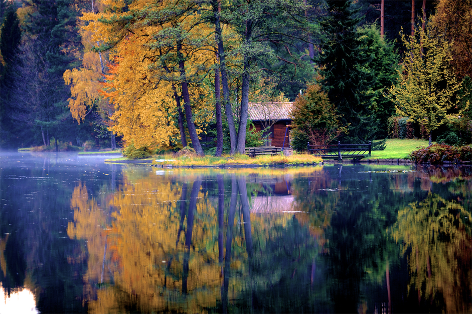 See im Pfälzerwald in Dahn